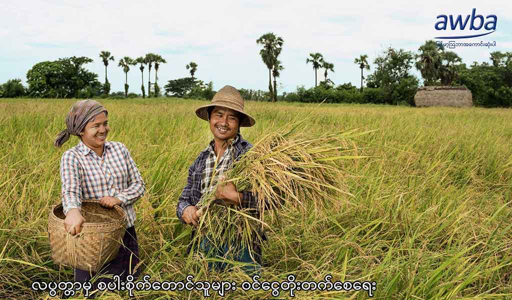 paddy farmers Myanmar Myanma Awba Group